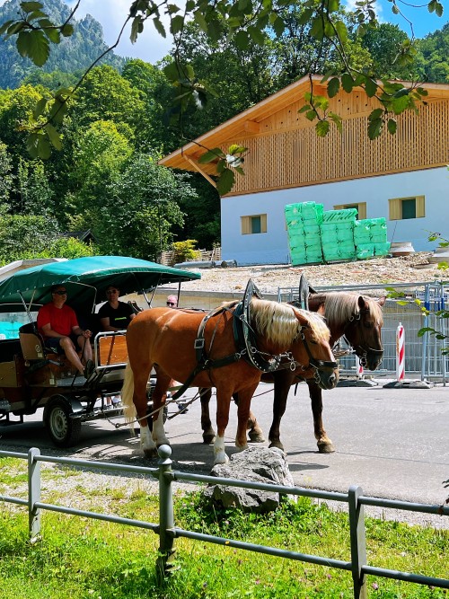 童话德国▪深度全览6日轻奢之旅【精致中文小团】< 法兰克福上 柏林下 >