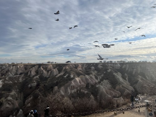 【精品】漫行土耳其经典7日游