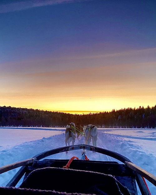 极光，雪橇，帝王蟹之旅