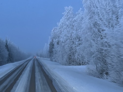 极光，雪橇，帝王蟹之旅