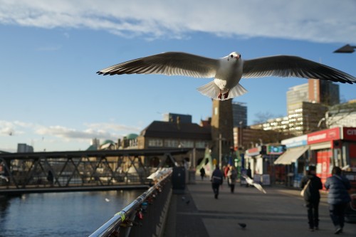 北欧之珠四国六日游