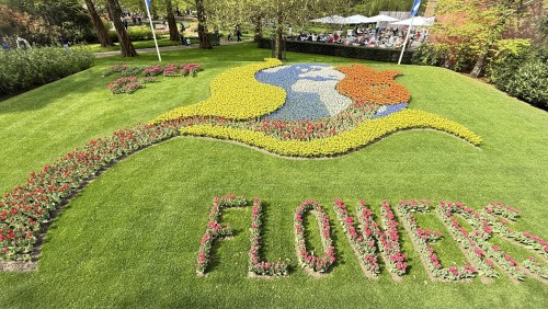 荷兰郁金香赏花3日游（法兰克福往返）