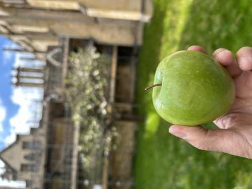 苏格兰和英格兰