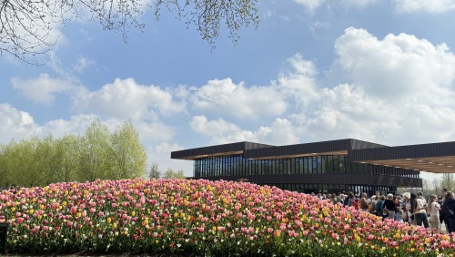 荷兰郁金香赏花3日游（法兰克福往返）