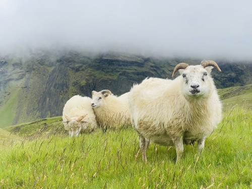 【优品甄选】冰与火之歌，冰岛六日五晚深度游