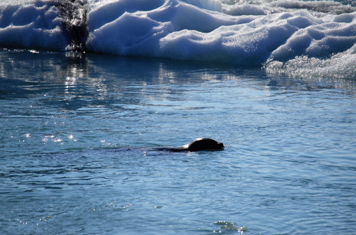 【优品甄选】冰与火之歌，冰岛六日五晚深度游