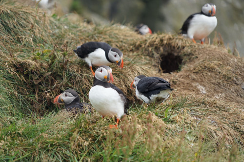 【优品甄选】冰与火之歌，冰岛六日五晚深度游