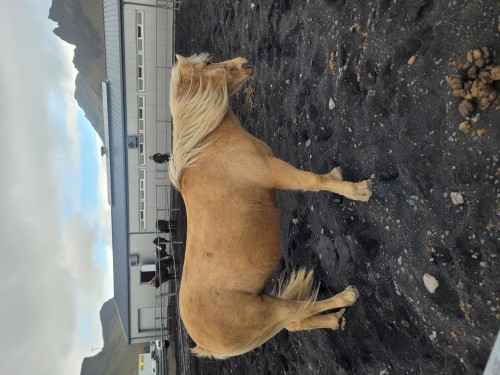 【优品甄选】冰与火之歌，冰岛六日五晚深度游