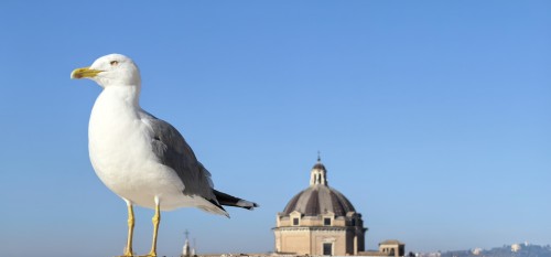 Last Minute - 【优品甄选】意犹未尽意大利7天6晚深度游