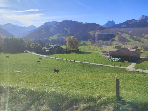 <秘境漫游>米兰文艺复兴•普罗旺斯•瑞士雪山｜瑞士南法蔚蓝海岸6日之旅