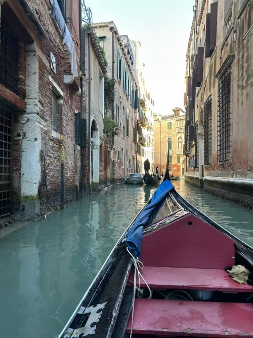 欧洲环游14日• 遍游西欧+意大利南法（法兰克福往返）