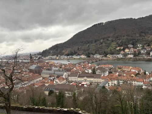 欧洲环游14日• 遍游西欧+意大利南法（法兰克福往返）