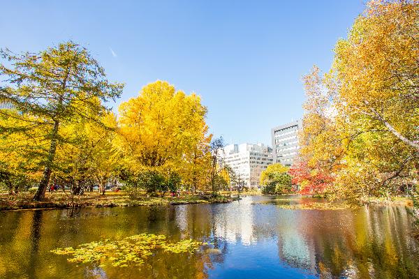 【纵贯北海道】日本北海道南北全景轻奢双温泉6日游（12-2月 周二札幌新千岁机场出）