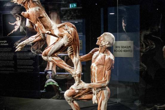 阿姆斯特丹人体世界展览门票 (免排队)