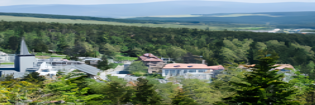 去波兰卡尔帕奇旅游有什么好玩的?-【波兰自由行攻略】